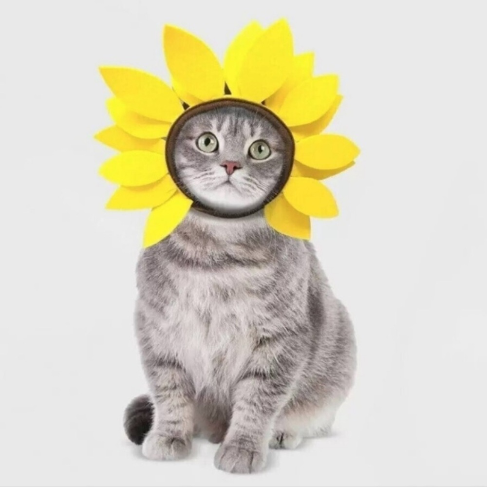 Hyde and Eek Sunflower Cat Costume Hat